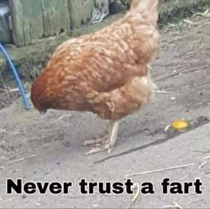 Meet your Posher, Curtis